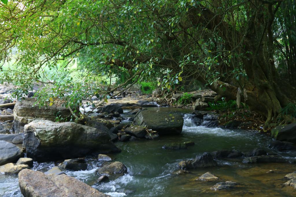 Nivahana Homestay Kandy Ngoại thất bức ảnh