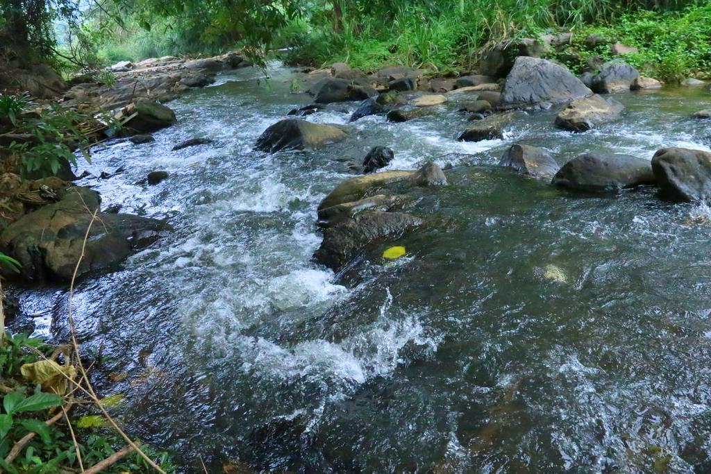 Nivahana Homestay Kandy Ngoại thất bức ảnh
