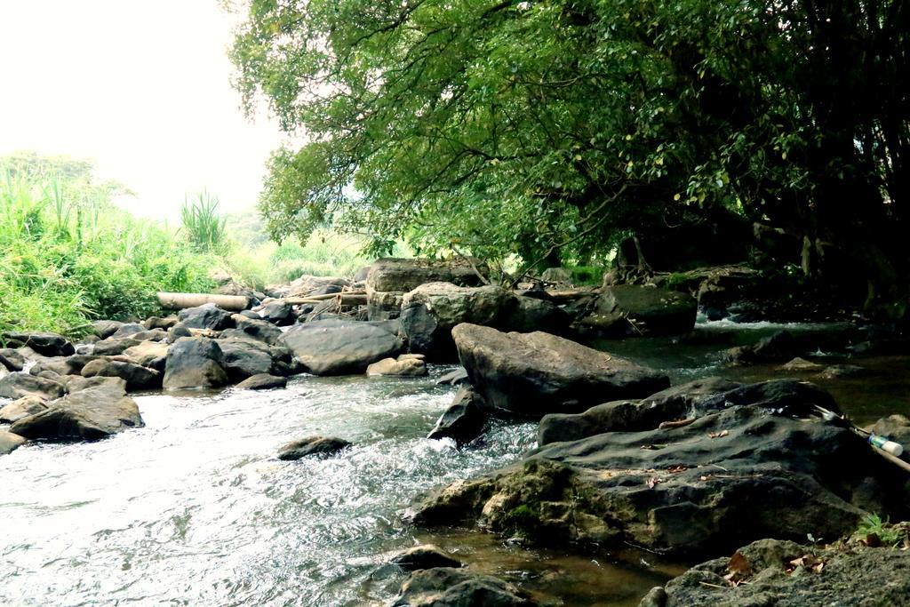 Nivahana Homestay Kandy Ngoại thất bức ảnh