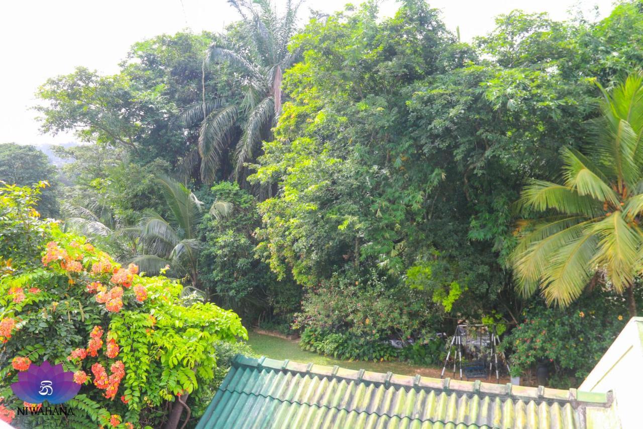 Nivahana Homestay Kandy Ngoại thất bức ảnh