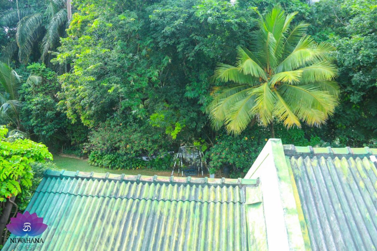 Nivahana Homestay Kandy Ngoại thất bức ảnh